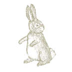 Rabbit Soft Toy
