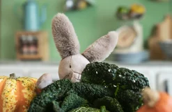 Cottontails Baby Soft Toy Bunnies | Bunnies For Babies*Moulin Roty Clay the Bunny - 35cm