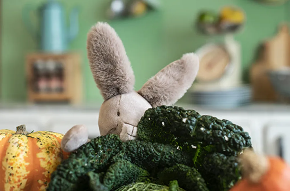 Cottontails Baby Soft Toy Bunnies | Bunnies For Babies*Moulin Roty Clay the Bunny - 35cm