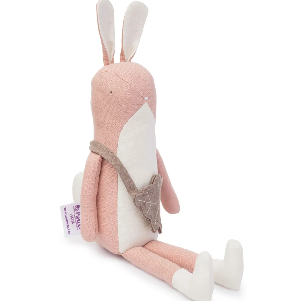 Cottontails Baby Soft Toy Bunnies | Bunnies For Babies*Mr Pickles Woodland Friends - Ruby the Rabbit