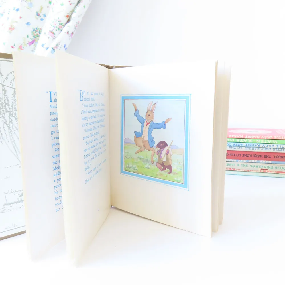 Cottontails Baby Vintage | Vintage Bunnies*VINTAGE book - Moldy warp the Mole (1975)
