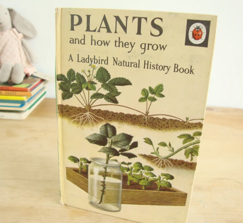 Cottontails Baby Vintage*VINTAGE Ladybird book - Plants and how they Grow (c. 1971)
