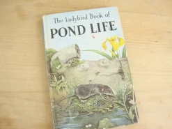 Cottontails Baby Vintage*VINTAGE Ladybird book - Pond Life (1966)