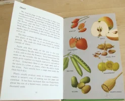 Cottontails Baby Vintage*VINTAGE Ladybird book - Plants and how they Grow (c. 1971)