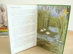 Cottontails Baby Vintage*VINTAGE Ladybird book - Plants and how they Grow (c. 1971)