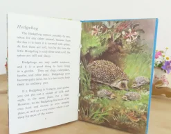 Cottontails Baby Vintage*VINTAGE Ladybird book - British Wild Animals (1971)