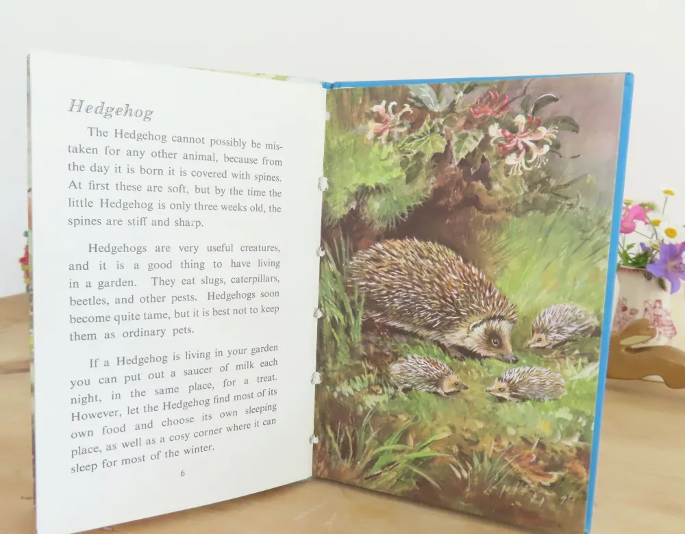 Cottontails Baby Vintage*VINTAGE Ladybird book - British Wild Animals (1971)