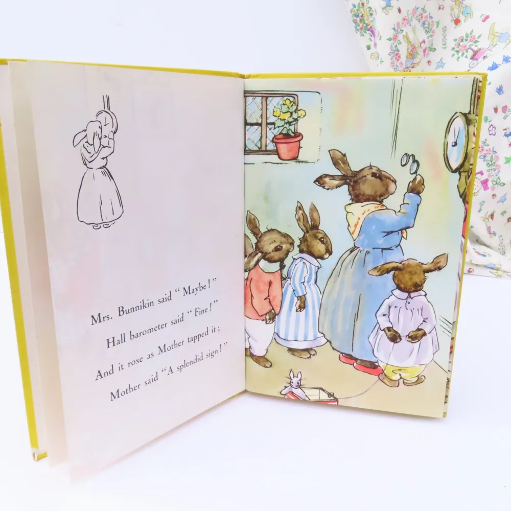 Cottontails Baby Vintage | Vintage Bunnies*VINTAGE Ladybird book - Bunnikin's Picnic Party (1971)