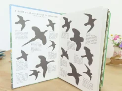 Cottontails Baby Vintage*VINTAGE Ladybird book of Heath and Woodland Birds (1971)